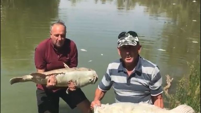A video by farmers Rob McBride (l) and Dick Arnold has gone viral as they held dead 100-year-old Murray cod. Pic: Tolarno Station
