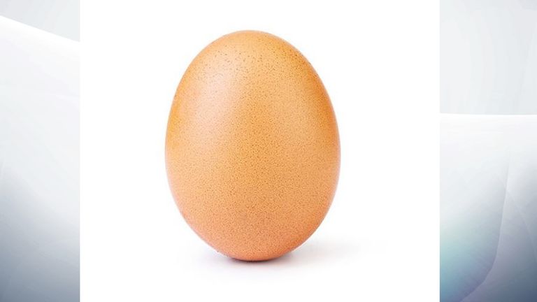 The record-breaking egg. Pic: Instagram