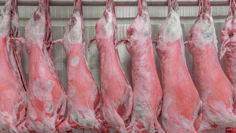 Halal and kosher slaughter will be banned in most of Belgium by September