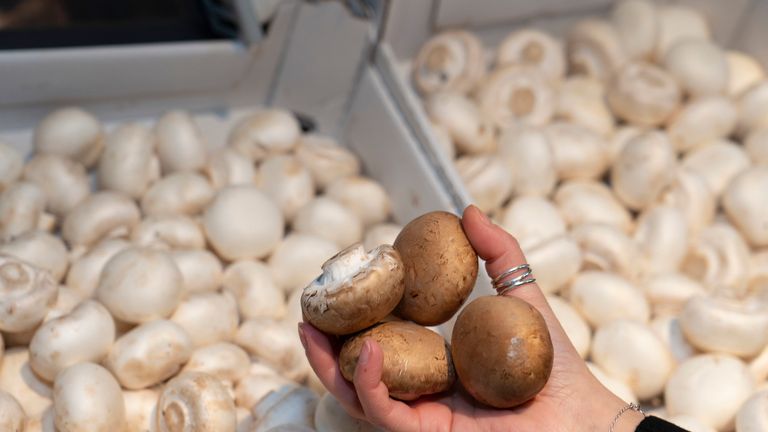 Mushrooms are among the loose items on sale 