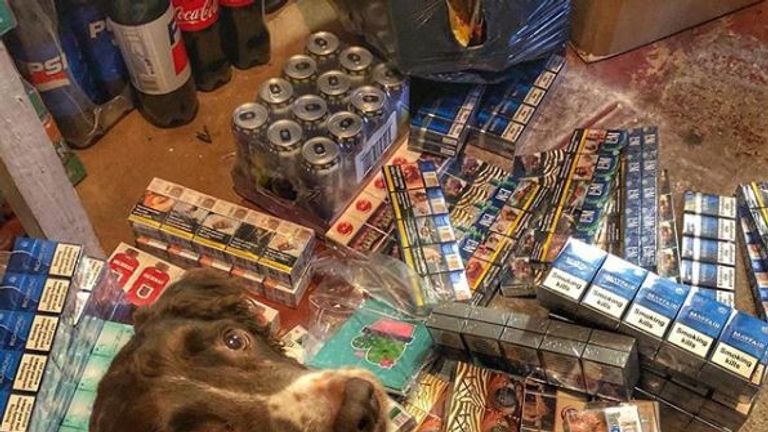 Gang hunt sniffer dog who has found illegal tobacco worth £6m, UK News
