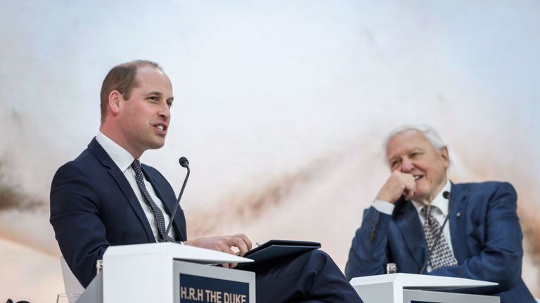 Sir David faced questions from Prince William