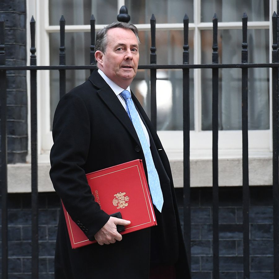 No Deal No Delay Or No Idea How Cabinet Is Split On Brexit   Skynews Liam Fox Liam Fox Mp 4564042 