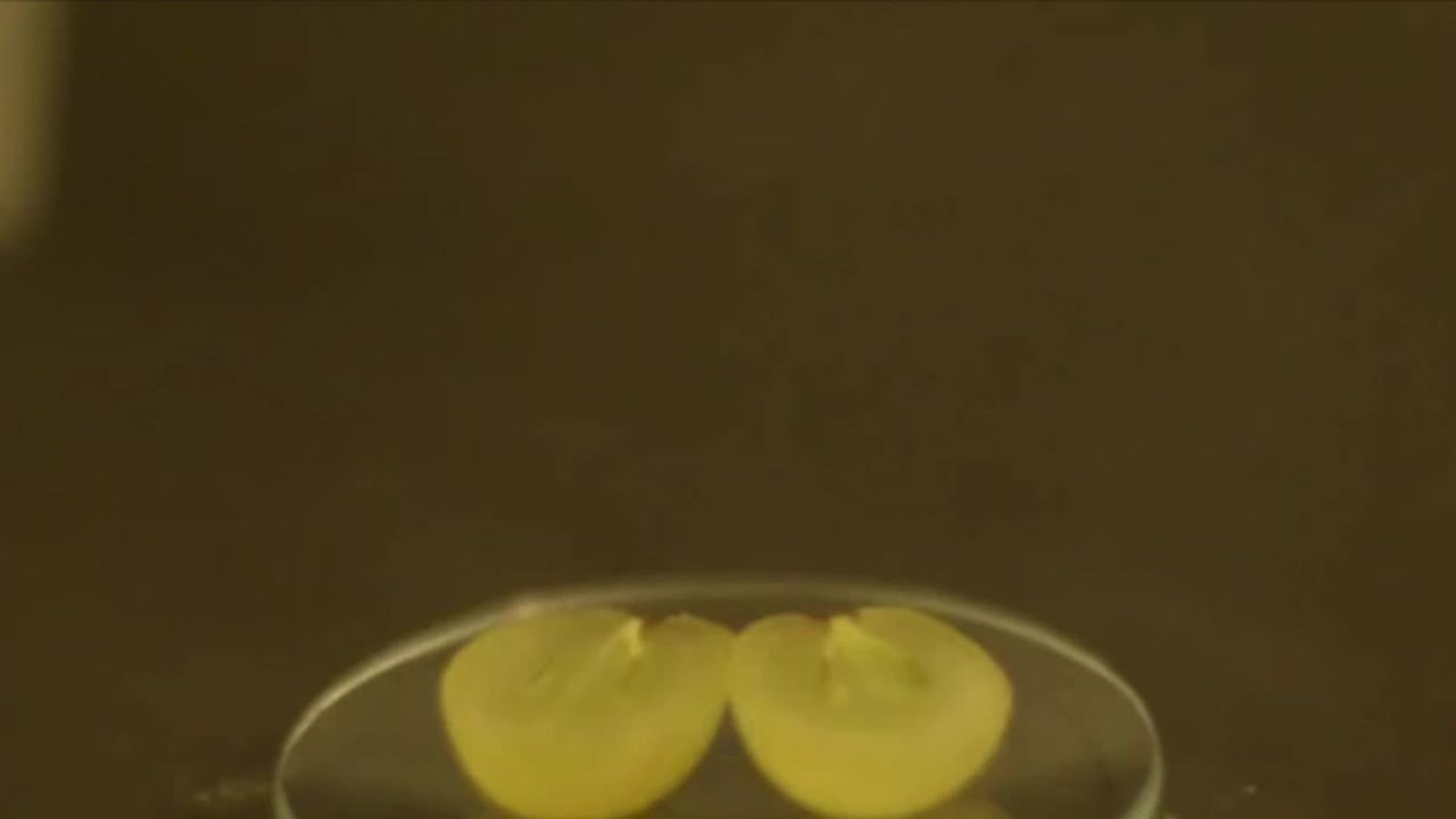 Grapes exploding in the microwave Science & Tech News Sky News