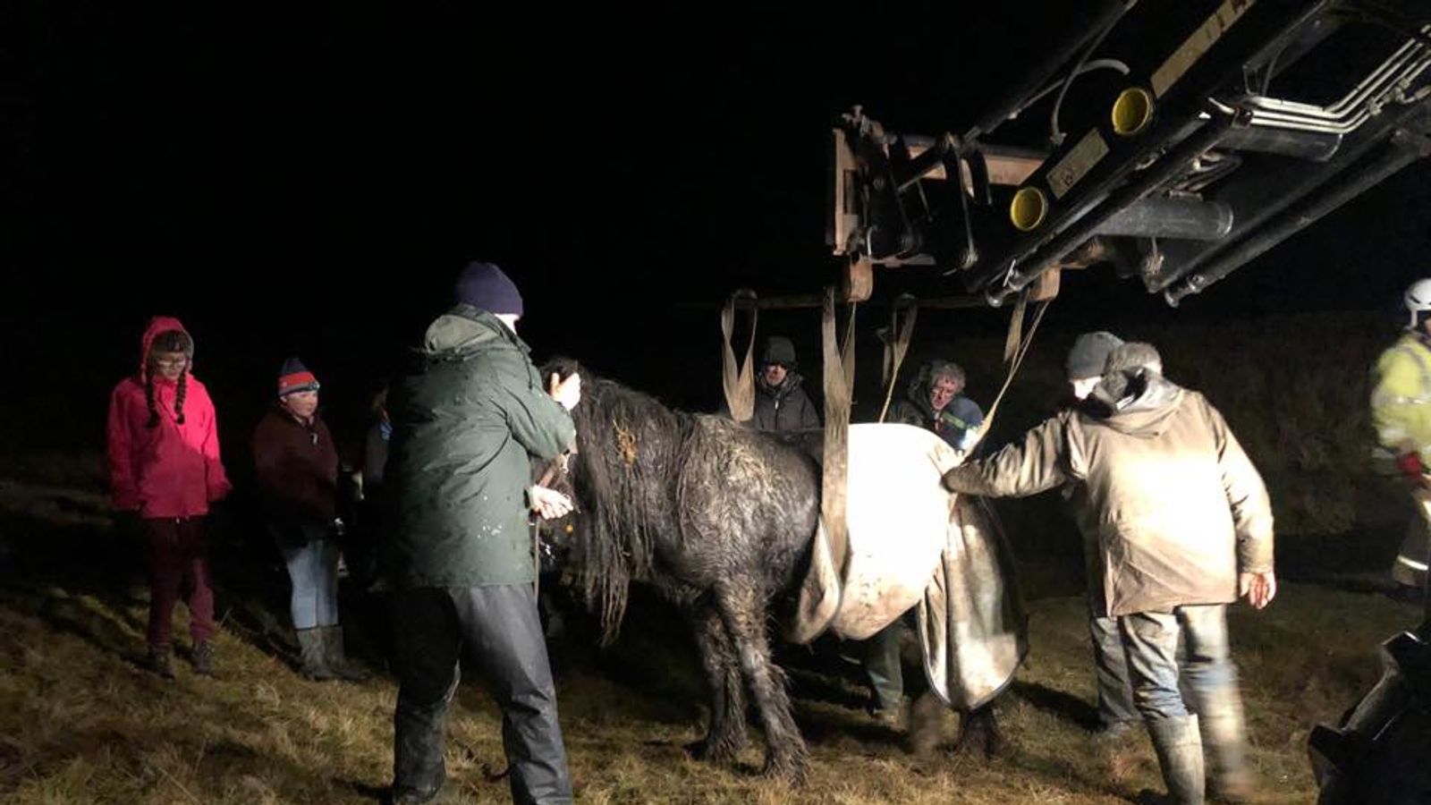 Trapped horse rescued after getting stuck in muddy bog in Cumbria | UK ...