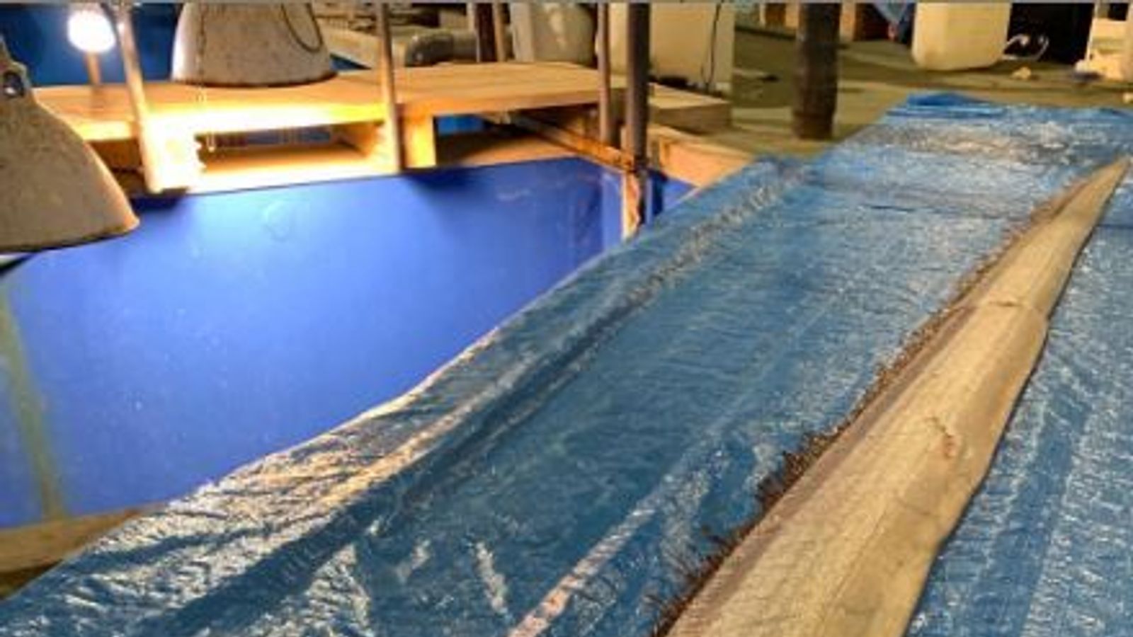 2025 japan earthquake and tsunami oarfish