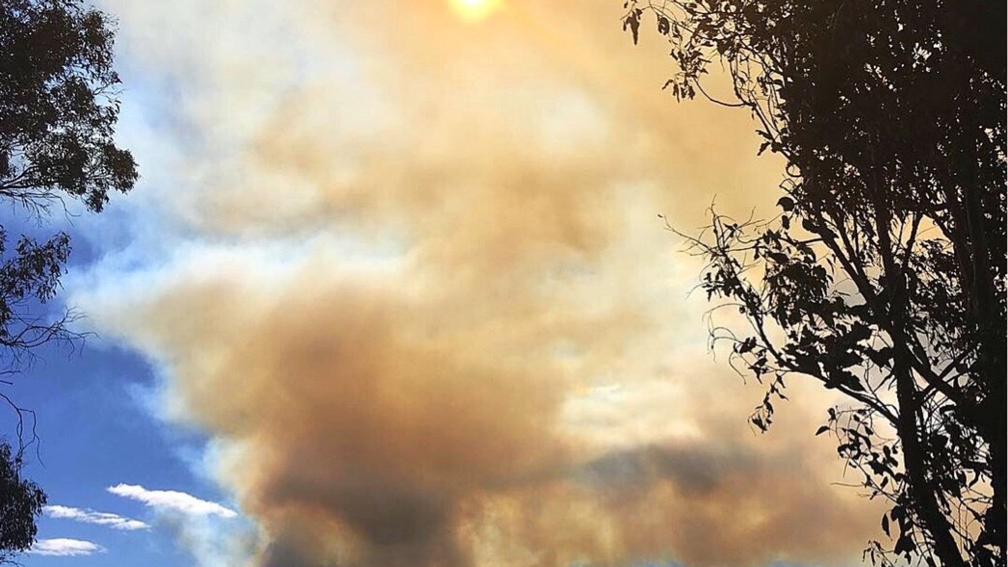 Residents flee huge forest fire in New Zealand after homes destroyed
