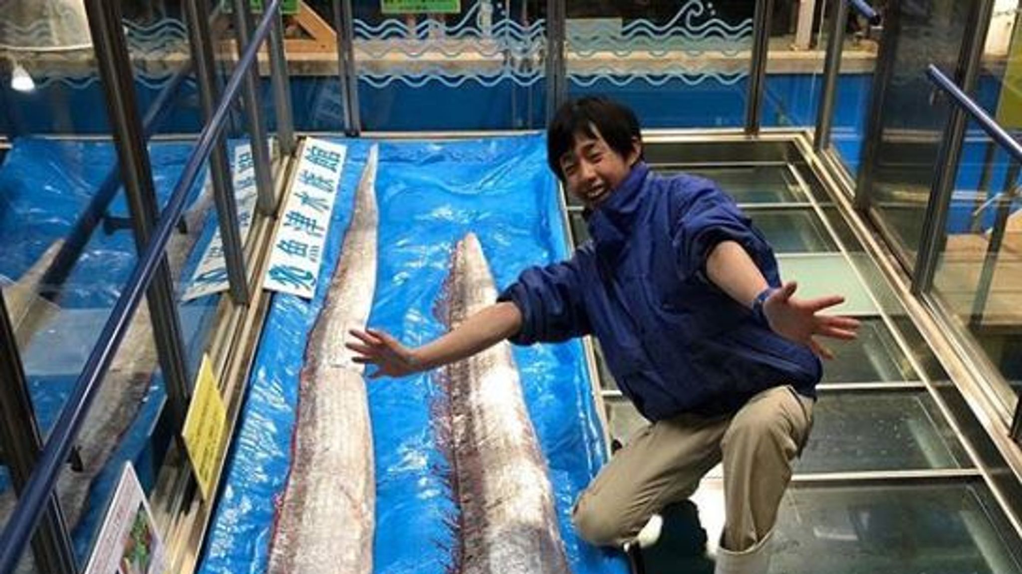 Dead deepsea oarfish spark earthquake and tsunami fears in Japan