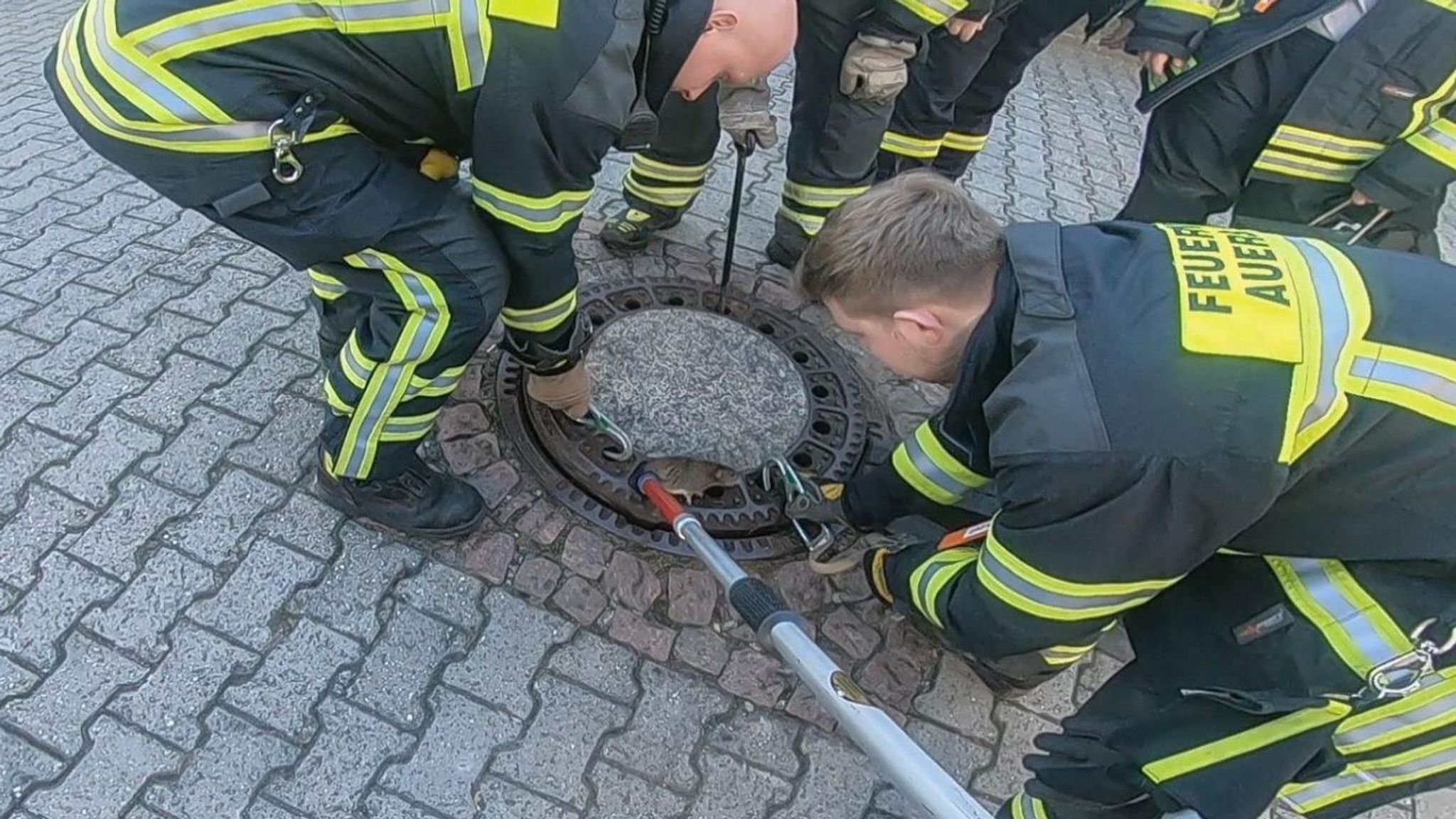 Спасти люка. Спасение крысы в Германии. Пожарная застряла в Германии.