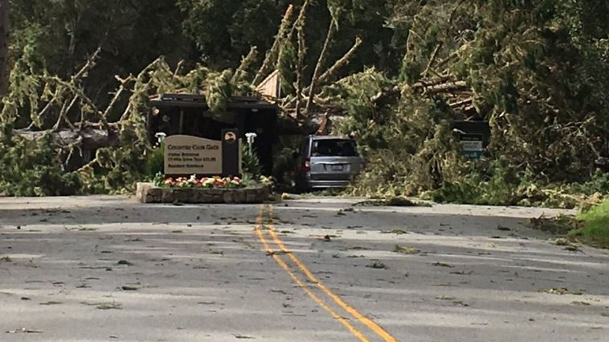 'Pineapple Express' dumps rain, snow and wind on US west coast US