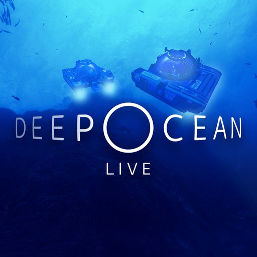 Deep Ocean Live daily blog