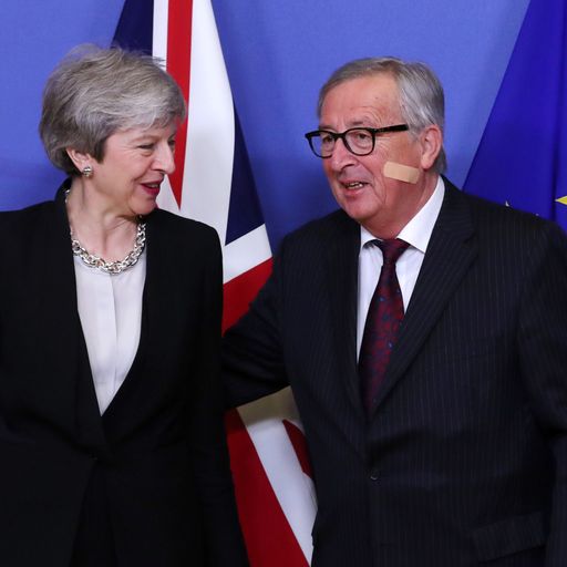 Sky Views: If Theresa May won't take no-deal off the table, her MPs will