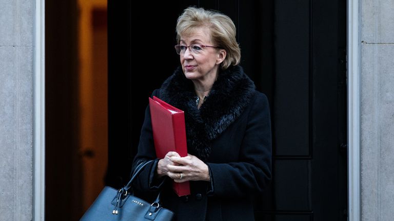 No Evidence Of Any Threat To Children From Momo Challenge Says   Skynews Andrea Leadsom Commons Leader 4593135 