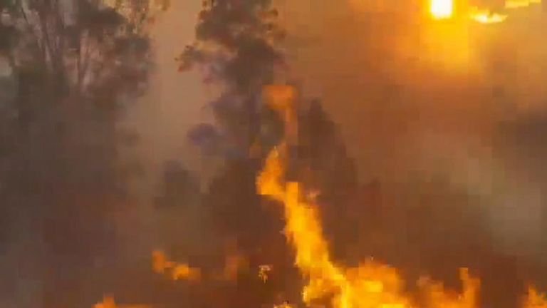 Bushfire extends long distance along roadside in New South Wales
