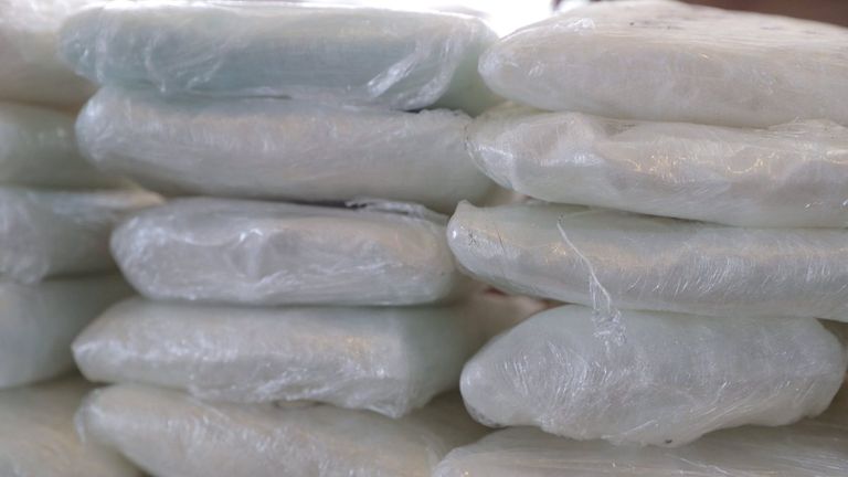 Agents discover record amount of fentanyl in drug bust on US border ...