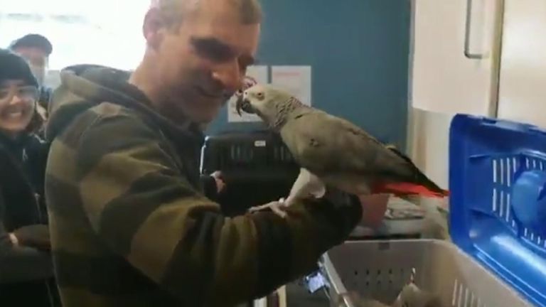 Parrot reunited with owner