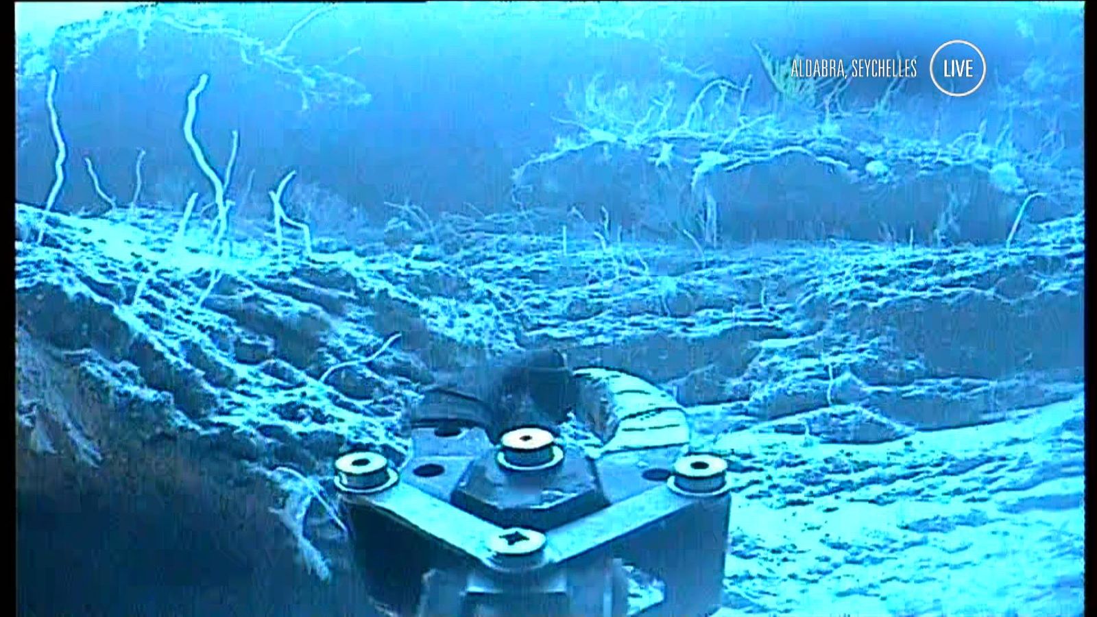 Sky travels 300m under sea for Deep Ocean Live Climate News Sky News