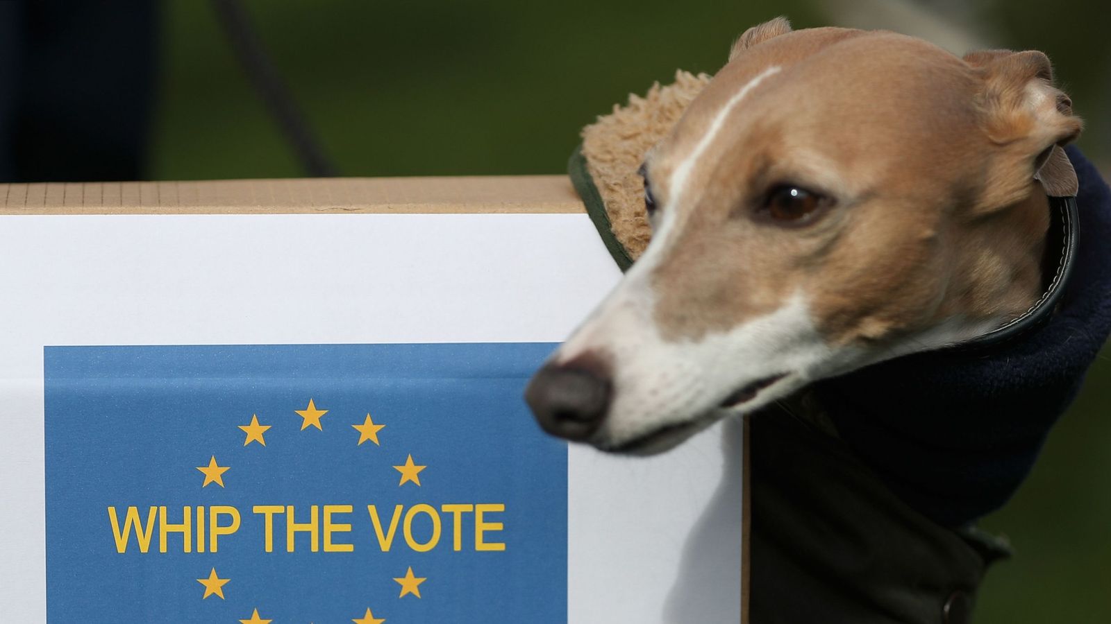 Dog owners hound Theresa May in call for Brexit referendum Politics