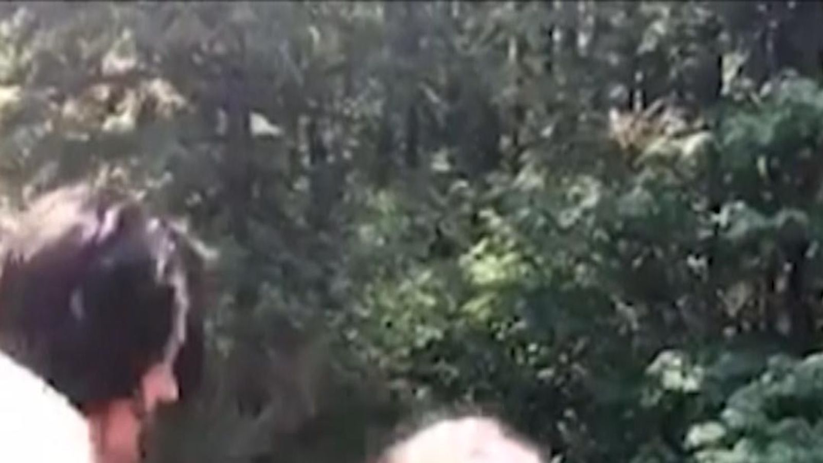 Girl Gets Shoved Off Bridge In Washington Teenager jailed for pushing friend off 50ft bridge | World News | Sky News