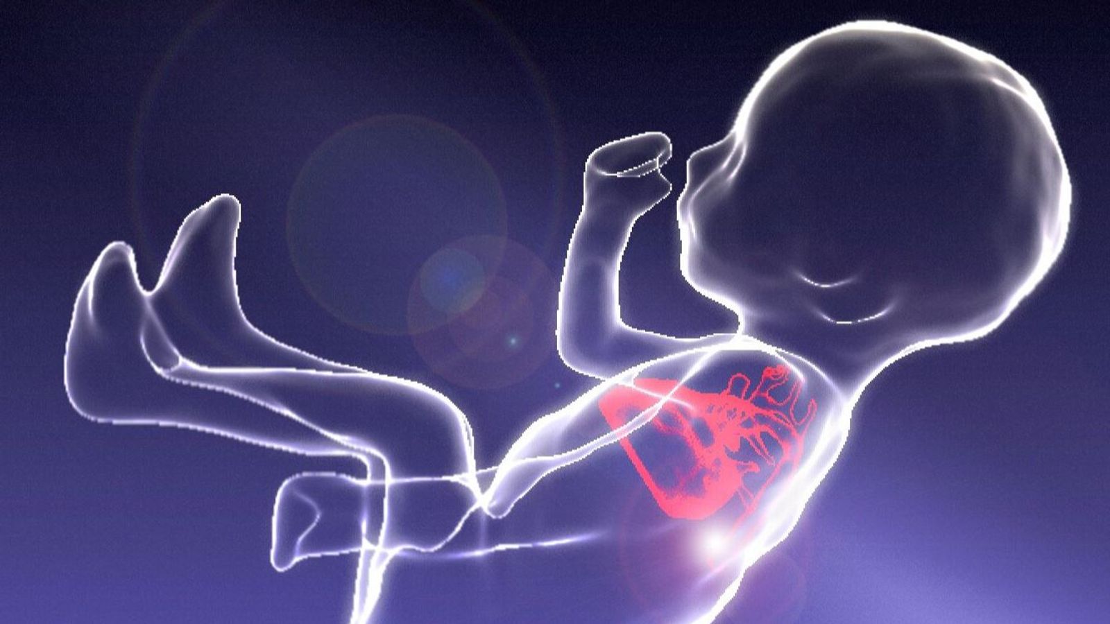 Groundbreaking images of unborn baby in womb Science & Tech News
