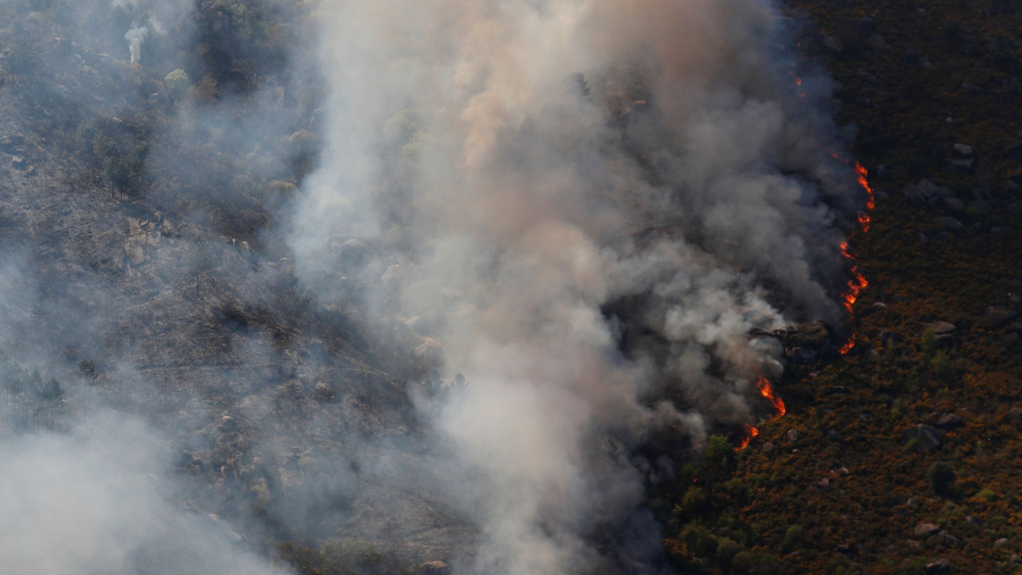 Portugal wildfires Country on high alert after soaring temperatures