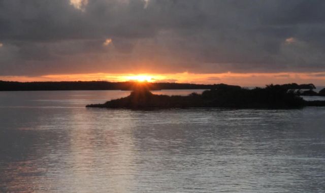 Lagoon's 'incredible refuge' may hold secret to coral survival Lagoon's 'incredible refuge' may hold secret to coral survival