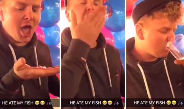 Man fined £385 after swallowing live goldfish in clip posted on Snapchat Man fined £385 after swallowing live goldfish in clip posted on Snapchat