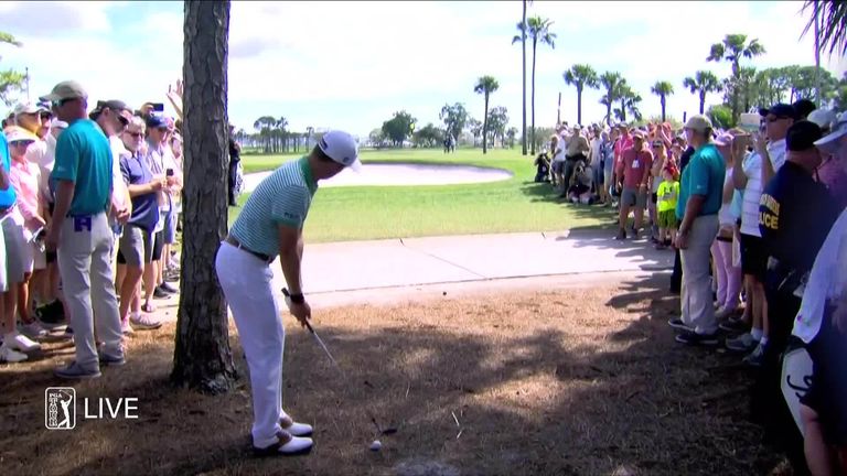 Singh, at 56 years old, in final pairing at Honda Classic