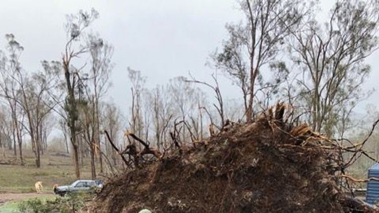 Connor and the tree that crushed him 30 minutes before the accident. Pic: RACQ LifeFlight Rescue