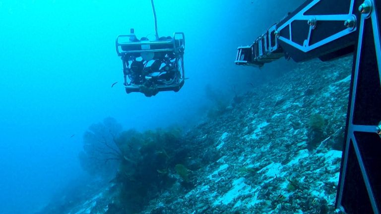 The sub&#39;s robot arm reaches out to the ROV