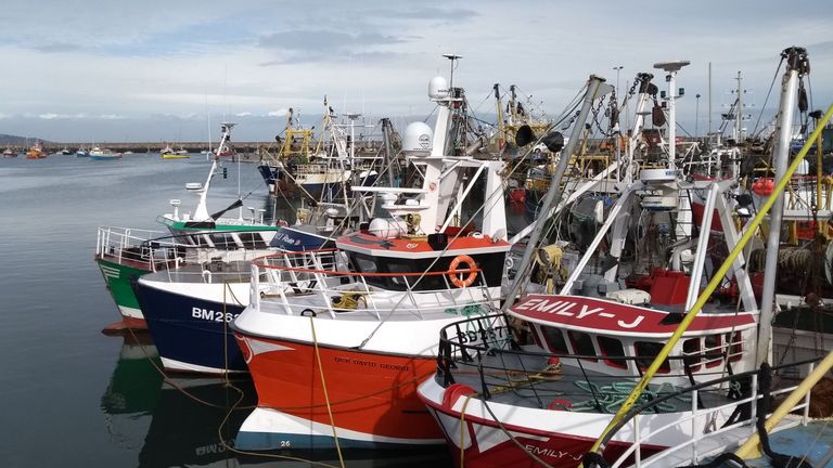 Fishing has been a contentious issue during brexit negotiations