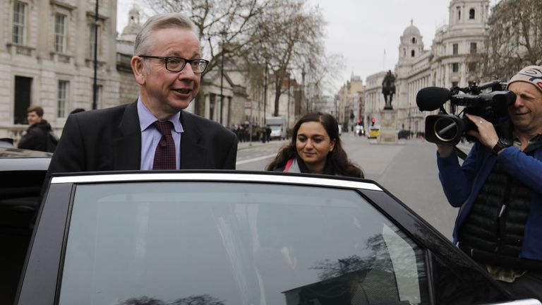 Michael Gove is said to have the backing of some ministers to take over