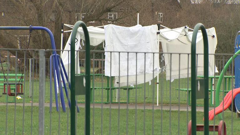 A 17-year-old girl has been stabbed to death in a park in Havering, east London