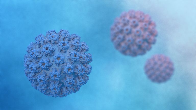The HPV cells can become cancerous if not caught early