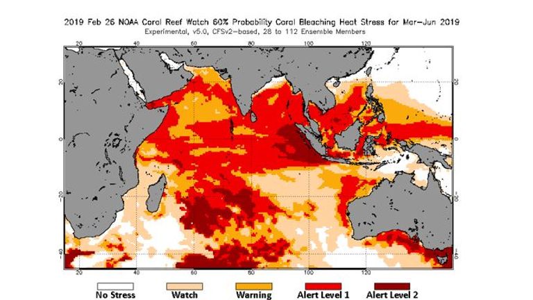 Predicted coral bleaching in the coming weeks. Pic: NOAA Coral Reef Watch
