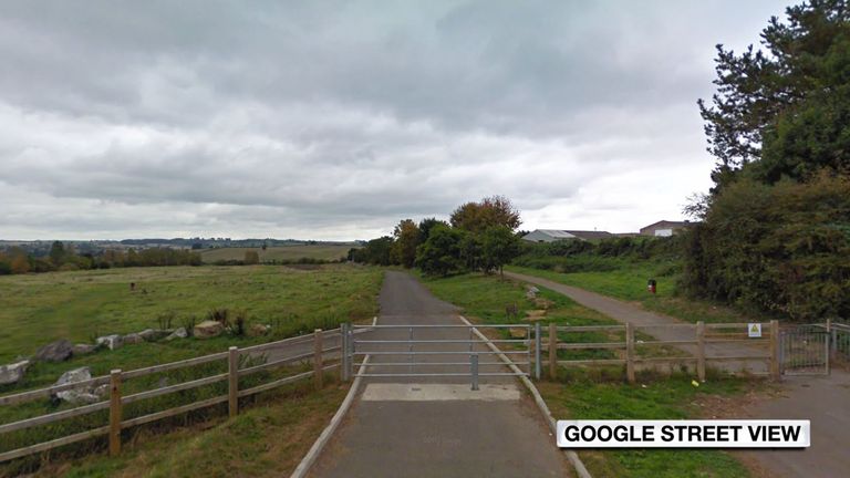 A Shetland pony was found tied and beaten in waste land off Lyde Road in Yeovil 