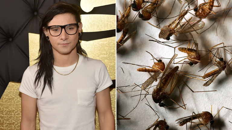 Skrillex&#39;s music is thought to be an effective way of protecting against mosquitoes