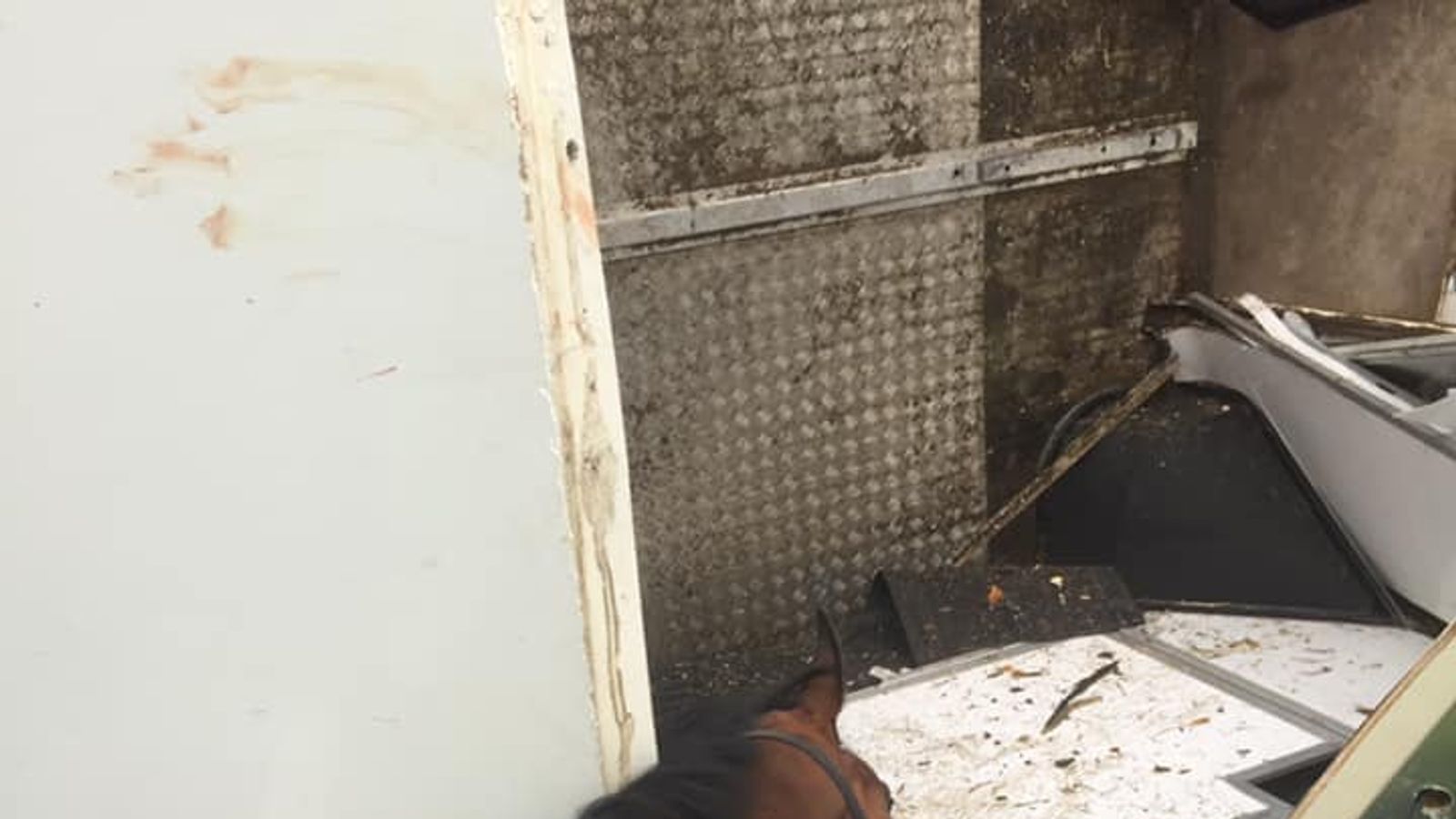 'He died in her arms' Trainer cradles dying race horse after headon