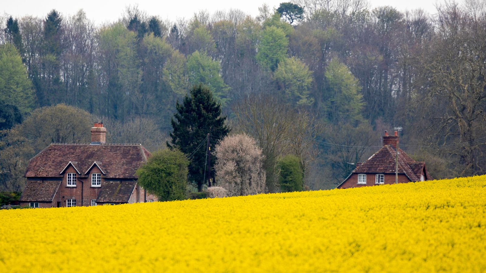 weather-mild-temperatures-to-return-to-uk-as-easter-weekend-nears-uk