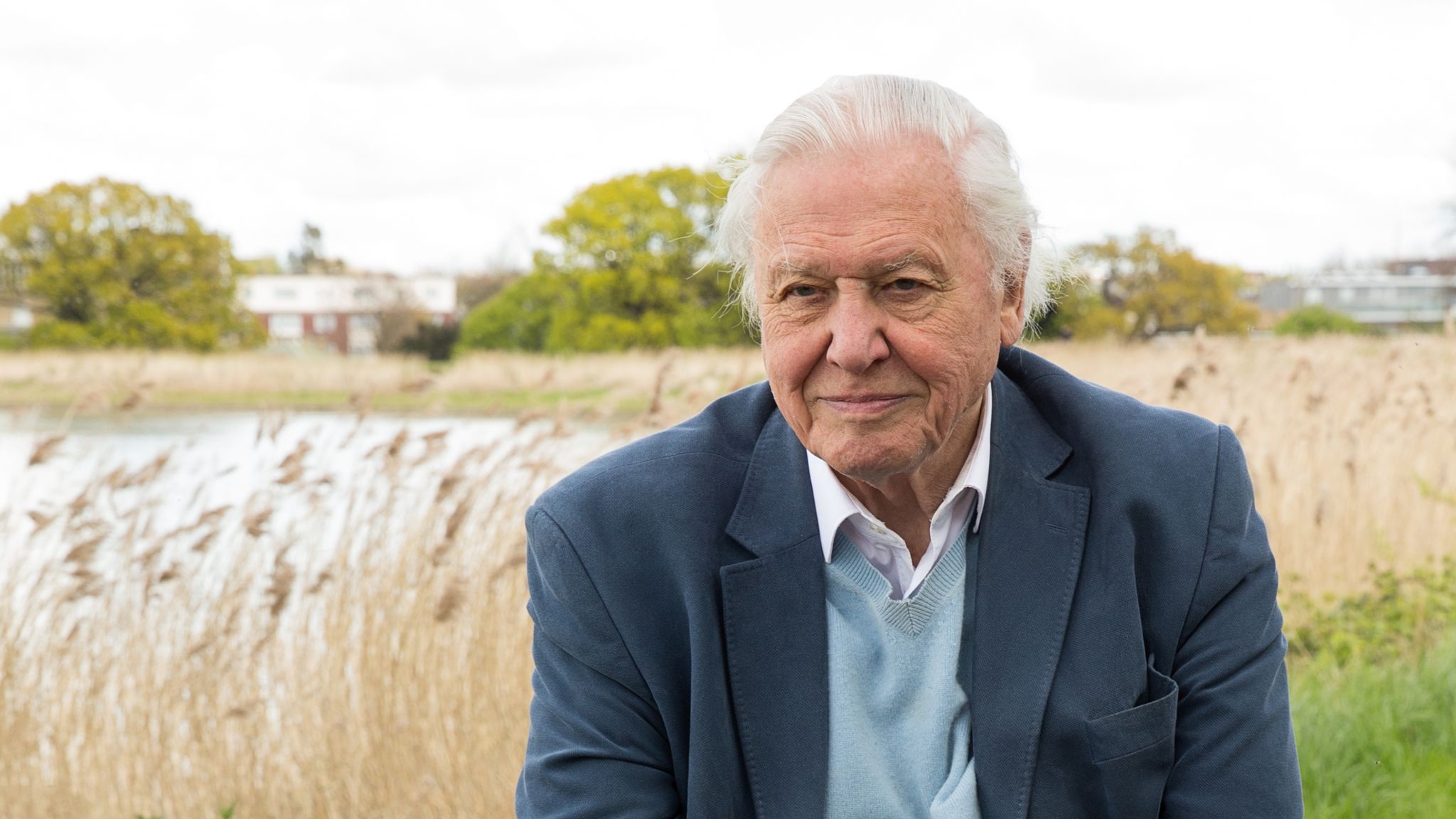 PM drafts in David Attenborough to promote petrol and diesel car ban Politics News Sky News