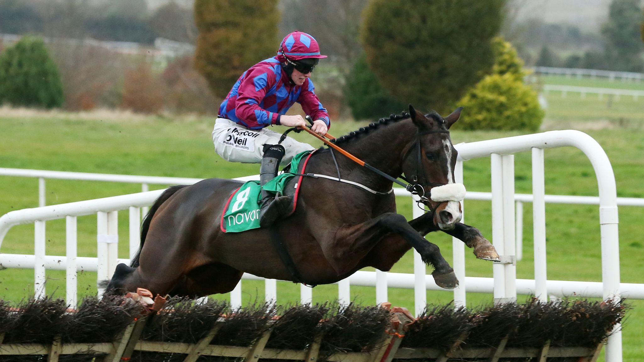 'Thoroughbred horses are bred to race it's in their DNA' UK News