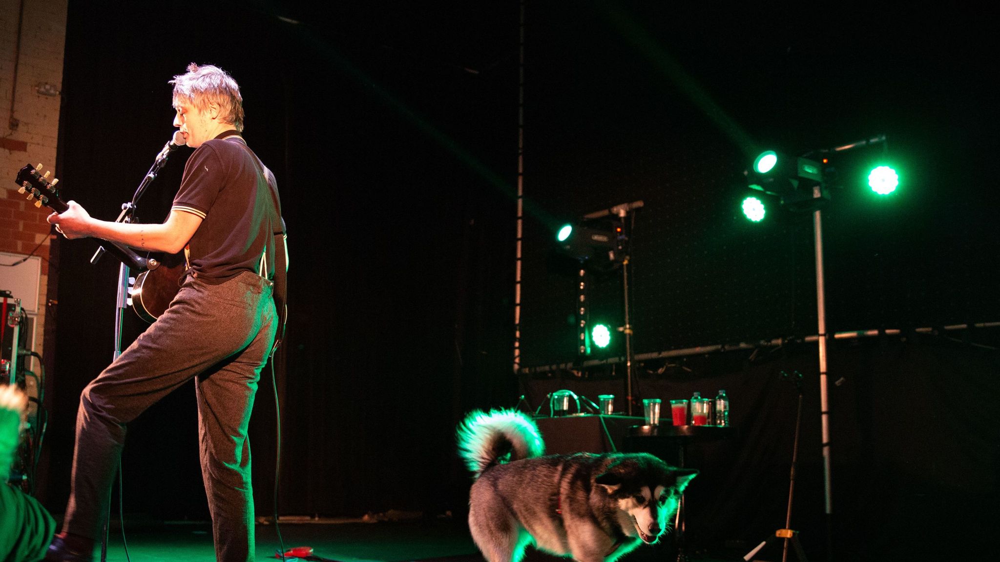Singer Pete Doherty thanks NHS after piercing hand on hedgehog Ents