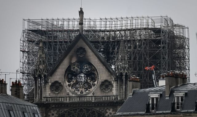 Rooftop bees survive Notre-Dame fire after being 'drunk' Rooftop bees survive Notre-Dame fire after being 'drunk'