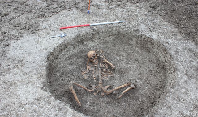Dozens of ancient human skeletons found during water pipe work