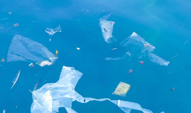 'Unique' study shows rise of bags, rope and nets polluting oceans