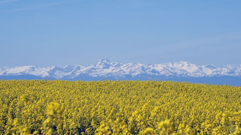 The study suggests microplastics can be blown around the world