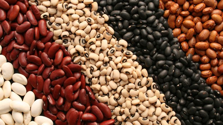 Beans are a great source of plant-based protein