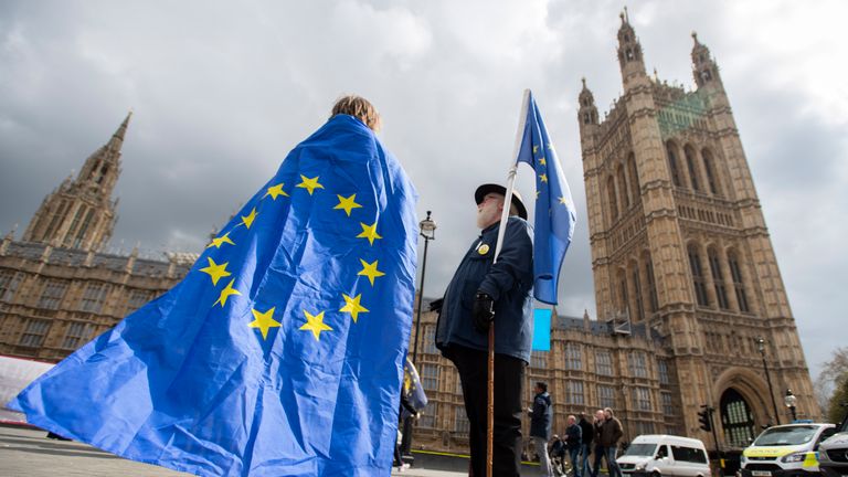 Brexit protesters in Westminster, London.