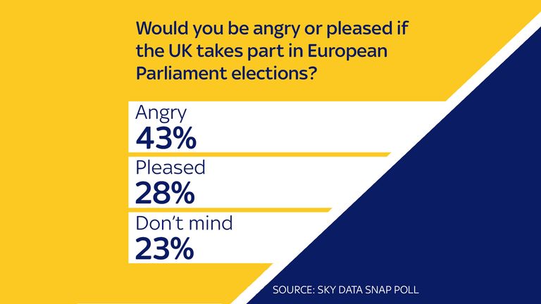 A quarter of public would boycott EU elections - Sky Data