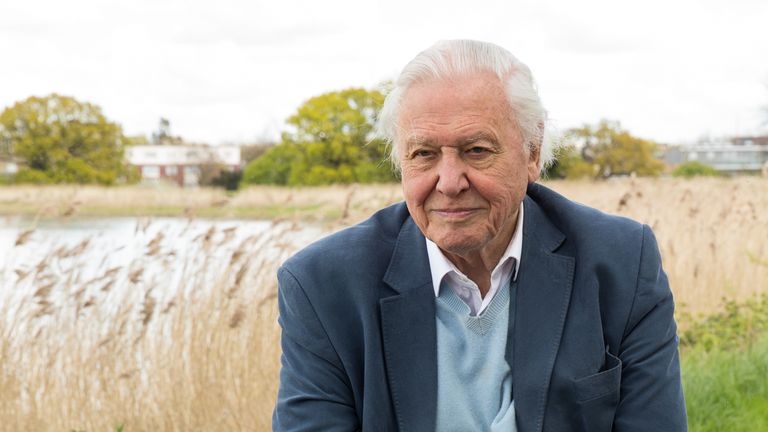 The name was inspired by Sir David Attenborough&#39;s campaigning against plastics use